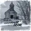 Liquid Assassin - Goodbye Love - Single